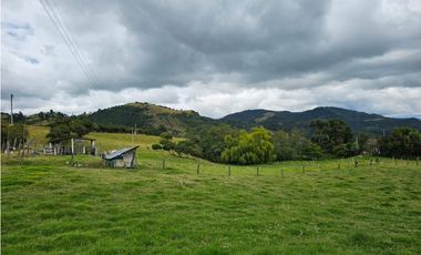 Finca productiva Autosostenible La Dorada