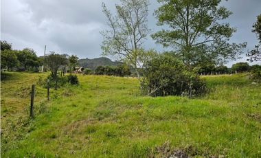 Finca productiva Autosostenible La Dorada