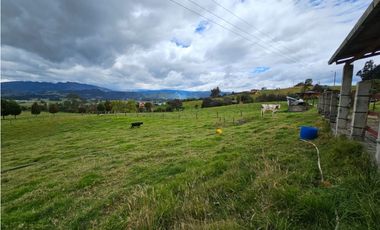 Finca productiva Autosostenible La Dorada
