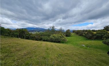 Finca productiva Autosostenible La Dorada