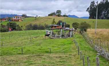 Finca productiva Autosostenible La Dorada