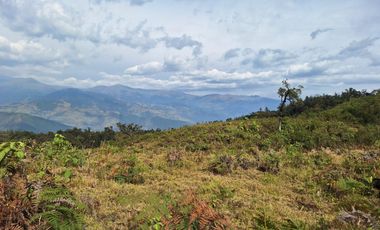 se vende Finca en Pallatanga  AnaA