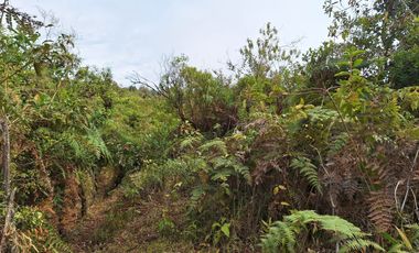 se vende Finca en Pallatanga  AnaA