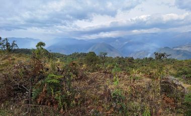 se vende Finca en Pallatanga  AnaA