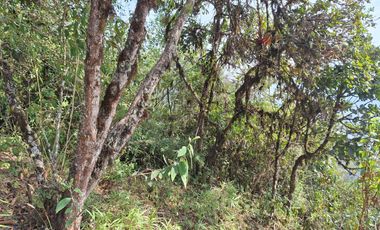 se vende Finca en Pallatanga  AnaA