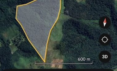 se vende Finca en Pallatanga  AnaA