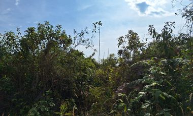 se vende Finca en Pallatanga  AnaA