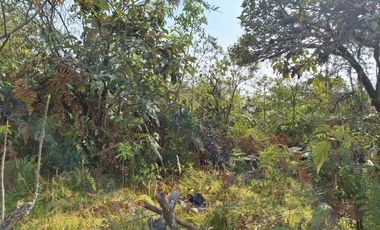 se vende Finca en Pallatanga  AnaA