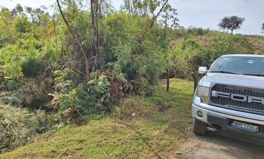 se vende Finca en Pallatanga  AnaA