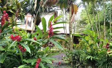 SOR / ALTOS DEL MARIA / 3HABITACION+HUESPED / LINEA BLANCA / 3500M