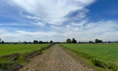 Parcela en venta en ÑIQUÉN