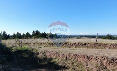 Parcela en venta Yumbel media hectárea