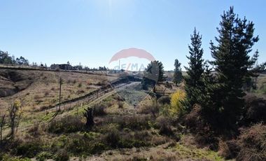 Parcela en venta Yumbel media hectárea