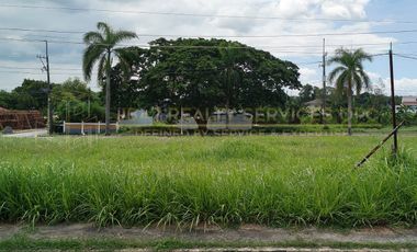 METRO SOUTH LOT FOR SALE (150sqm)