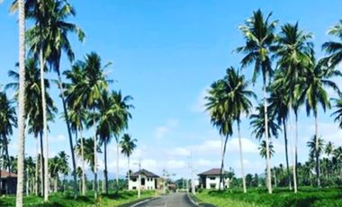 Vacant Lot in Montelago Nature Estates San Pablo City Laguna