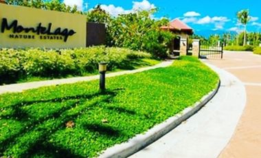 Vacant Lot in Montelago Nature Estates San Pablo City Laguna
