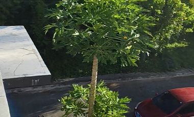 4 bedrooms and bathrooms with balcony each rooms.With good view and big balcony