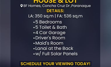 For Sale House & Lot BF Homes, Concha Cruz Dr ,Paranaque