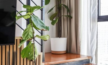 THE MERIDIAN FOR SALE OR RENT: Loft-Type
