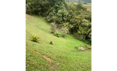 Venta de finca en Guarne vereda la Mejía, cerca al parque principal