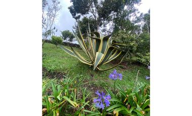 Venta de finca en Guarne vereda la Mejía, cerca al parque principal