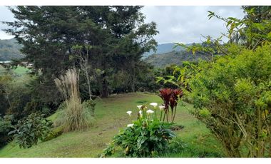 Venta de finca en Guarne vereda la Mejía, cerca al parque principal