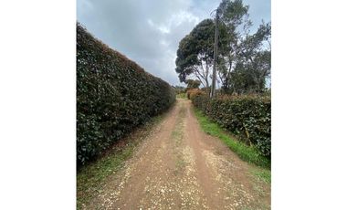 Venta de finca en Guarne vereda la Mejía, cerca al parque principal