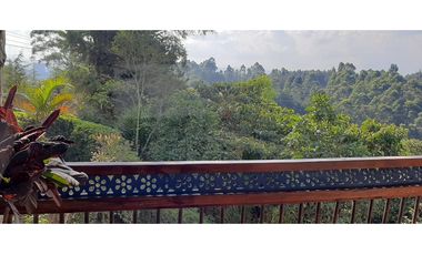 Venta de finca en Marinilla vereda Cimarronas