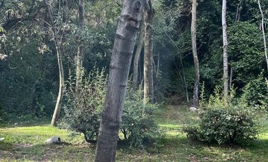 Casa en renta en Bosque de las Lomas, cdmx, jardin, grande, funcional, seguridad