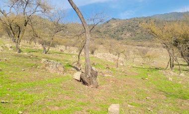 Parcela en Venta en LA DEHESA DE PLACILLA