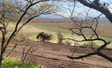 Parcela en Venta en LA DEHESA DE PLACILLA