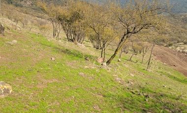 Parcela en Venta en LA DEHESA DE PLACILLA