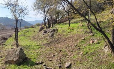 Parcela en Venta en LA DEHESA DE PLACILLA