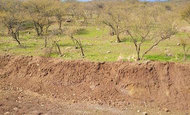 Parcela en Venta en LA DEHESA DE PLACILLA