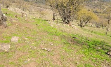 Parcela en Venta en LA DEHESA DE PLACILLA