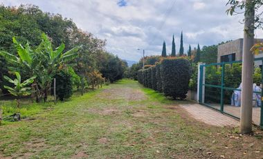 XG_VENTA TERRENO EN GUAYLLABAMBA 2.500 m² con Producción de Aguacates, esquinero.