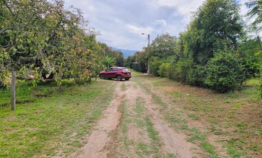 XG_VENTA TERRENO EN GUAYLLABAMBA 2.500 m² con Producción de Aguacates, esquinero.