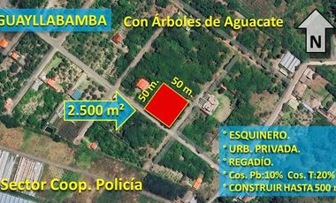 XG_VENTA TERRENO EN GUAYLLABAMBA 2.500 m² con Producción de Aguacates, esquinero.