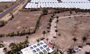 TERRENO  EN VENTA VISTA AL LAGO DE CHAPALA EN TEPEHUAJE