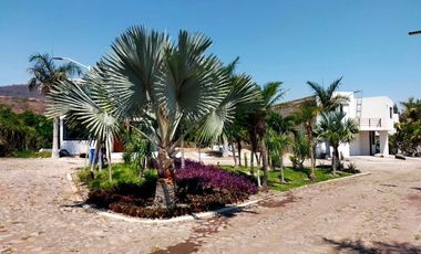 TERRENO  EN VENTA VISTA AL LAGO DE CHAPALA EN TEPEHUAJE