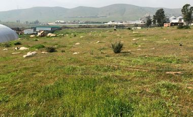 TERRENO EN  VENTA  EN CARRETERA LIBRE TIJUANA -TECATE !!!!!