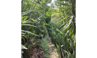 VENTA FINCA COMBIA