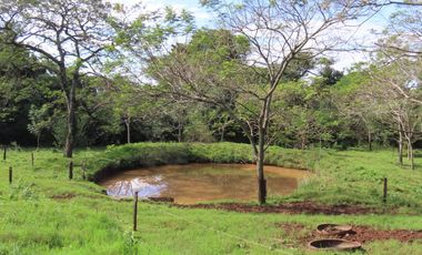 CHACRA 40 HA