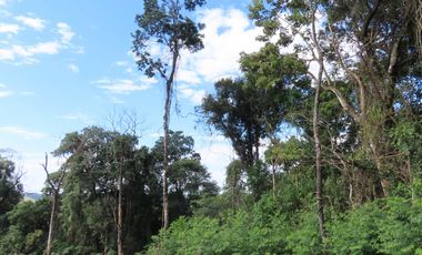 CHACRA 40 HA