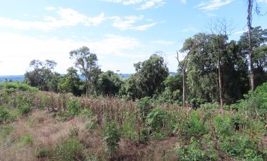 CHACRA 40 HA