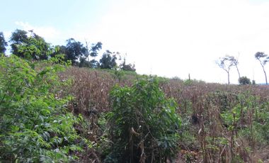 CHACRA 40 HA