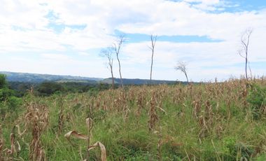 CHACRA 40 HA