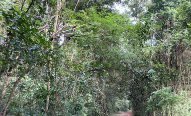 CHACRA 40 HA