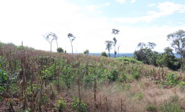 CHACRA 40 HA