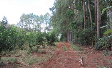 CHACRA 40 HA